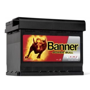 BANNER POWER BULL P6219