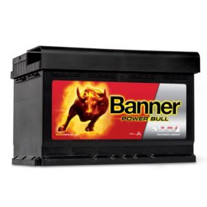 BANNER POWER BULL  P7412