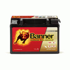 RUNNING BULL AGM  50900 BACKUP