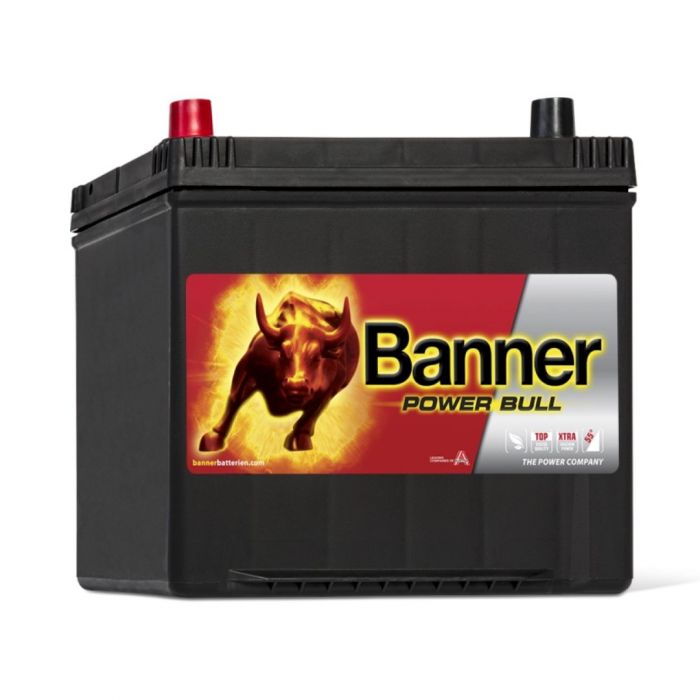 POWER BULL P6069