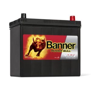 POWER BULL P4524