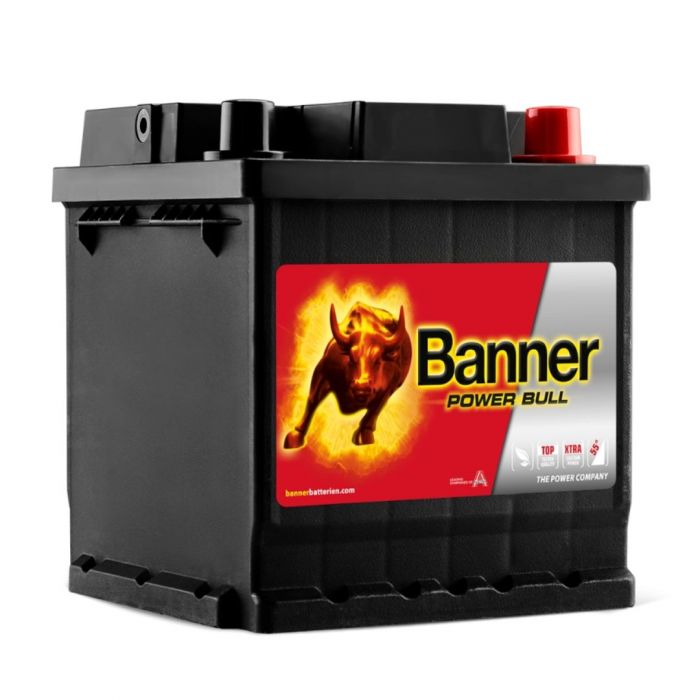POWER BULL P4208