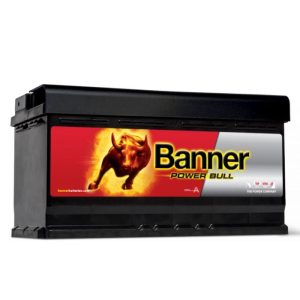 BANNER POWER BULL P9533